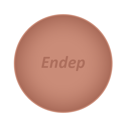 Endep Pill